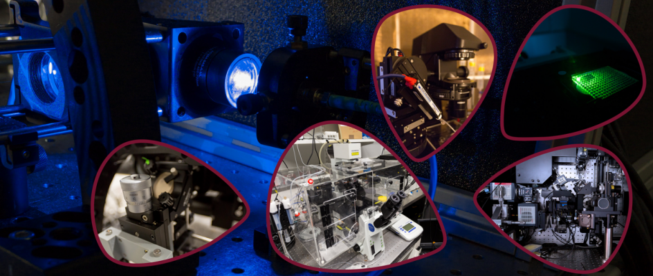 Single Molecule Science Facilities