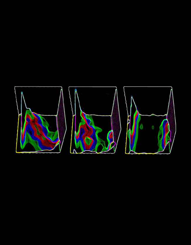 Watching proteins at work