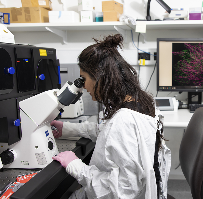 Image shows UNSW SMS researcher in an office lab, sitting down using a microscope